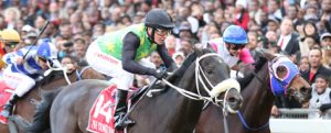 vdj fin