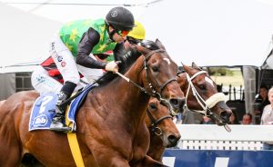 edict of nantes corne orffer lk of