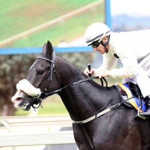 elusivenchantment an