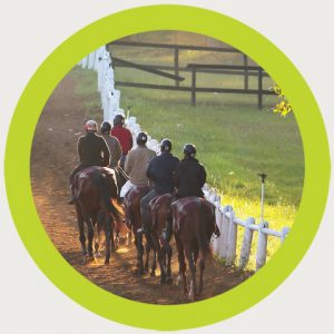 Summerveld track work - John Lewis