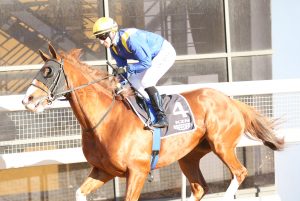 Bezanova (Nkosi Hlophe)