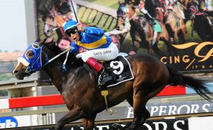 Chili Con Carne (JC Photos)