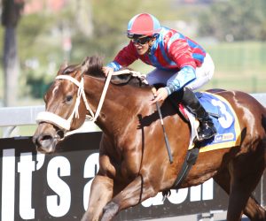 Isingamoya (Nkosi Hlophe)