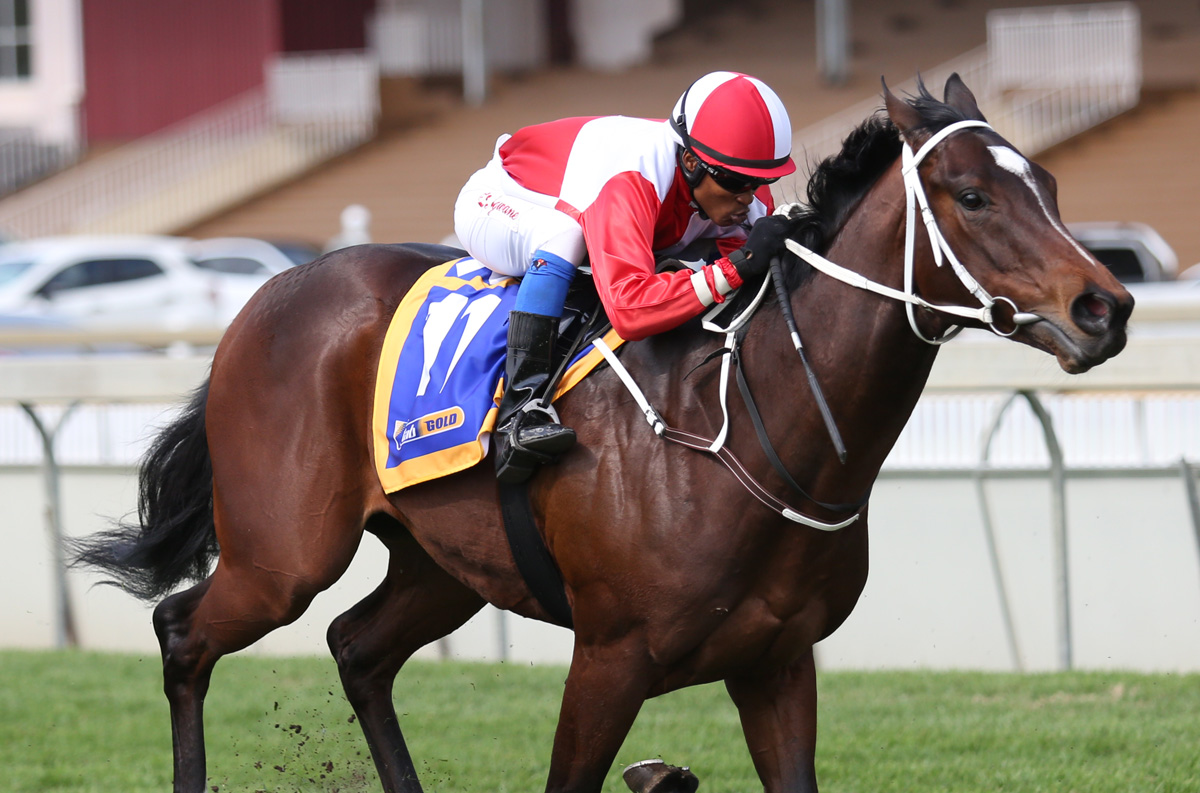 Marshall takes charge Gold Circle Horse Racing And Betting