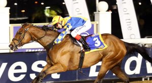 Pearl Emblem (Nkosi Hlophe)