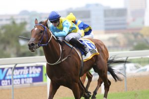 Rikitikitana (Nkosi Hlophe)