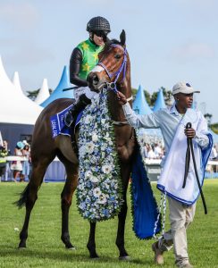 Legal Eagle (Liesl King)