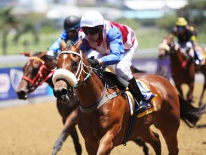 Miss Millionaire (Nkosi Hlophe)