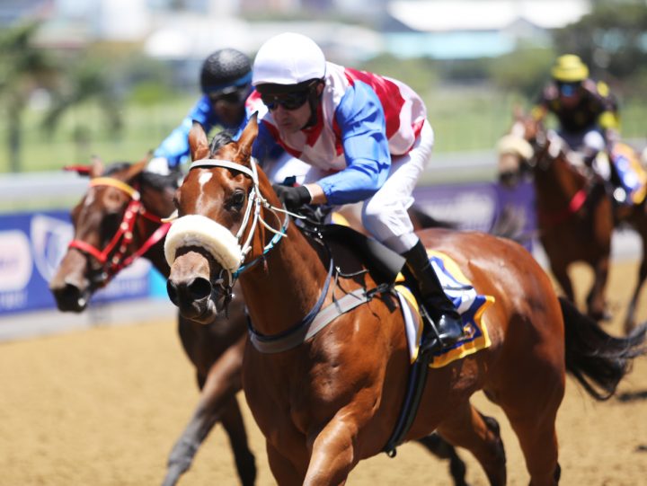 Miss Millionaire (Nkosi Hlophe)