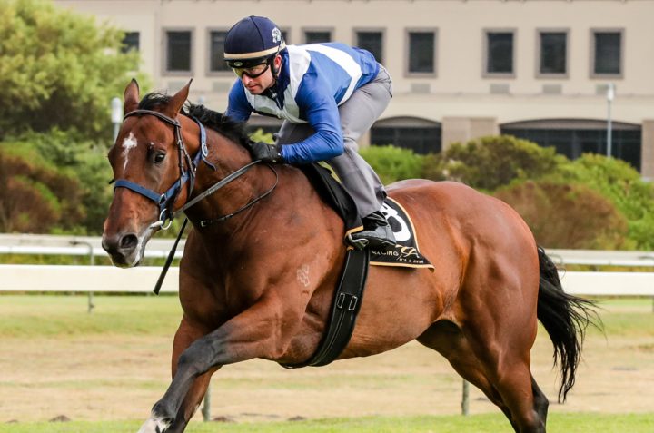 Whisky Baron (Liesl King)