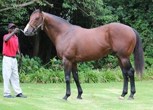 AP Answer (Candise Marenwick)