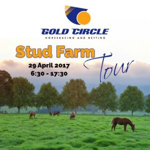 Stud Farm Tour