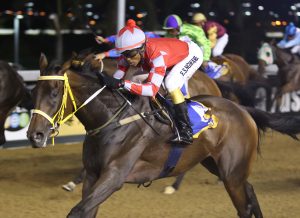 Tales Of Mambo (Nkosi Hlophe)