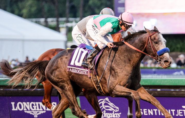 Arrogate (Liesl King)