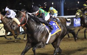 Captain Of Rock (Nkosi Hlophe)