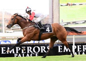 Champagne Haze (JC Photographics)