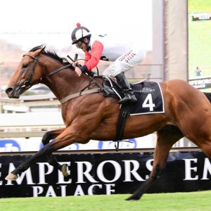 Champagne Haze (JC Photographics)