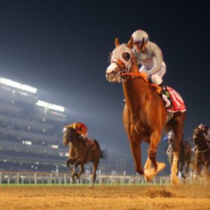 Dubai World Cup-Meydan