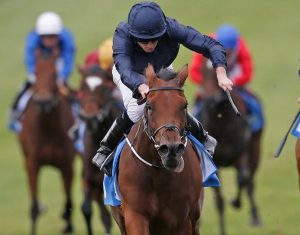 Rhododendron (Sportinglife)