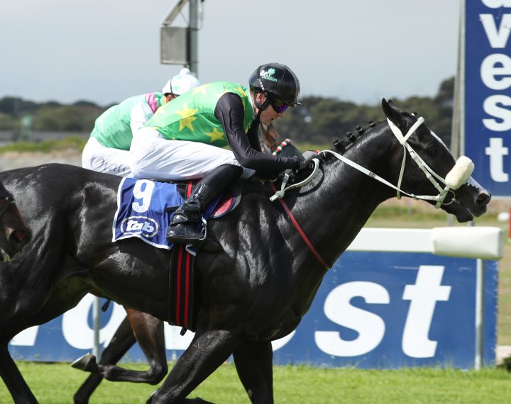 Silver Coin (Wayne Marks)