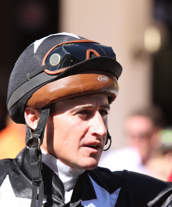 Bernard Fayd'Herbe (Liesl King)