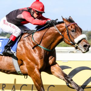 African Night Sky (Liesl King)