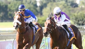 Bishop's Bounty & Purple Tractor (Nkosi Hlophe)