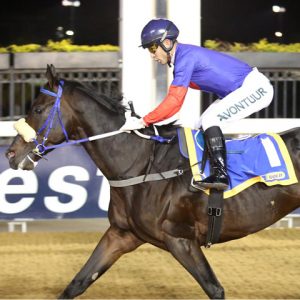 Liege (Nkosi Hlophe)