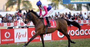 Marinaresco winner of the 2017 Vodacom Durban July