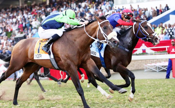 Purple Diamond (Nkosi Hlophe)