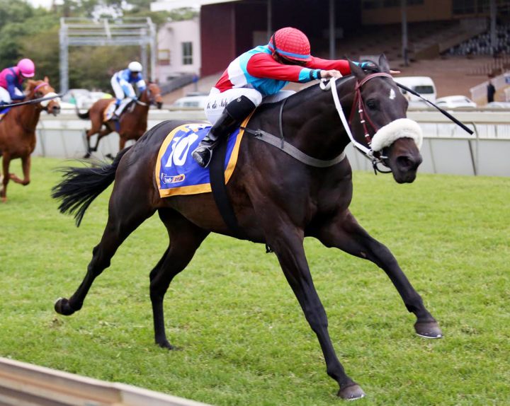 Sabre Charge (Nkosi Hlophe)