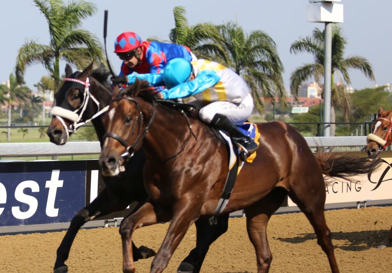 Winning brew from ‘Collins’ Gold Circle Horse Racing And Betting