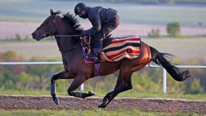 Harry Angel (RacingPost.com)