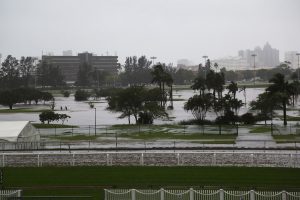 Greyville rain (Denzil Govender)