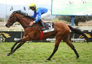 Broadway Trip (Candiese Marnewick)