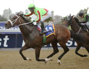 Filippo (Candiese Marnewick)