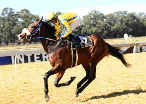 Noble Secret (JC Photographics)