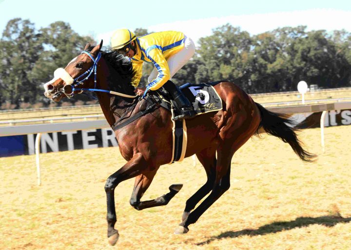 Noble Secret (JC Photographics)