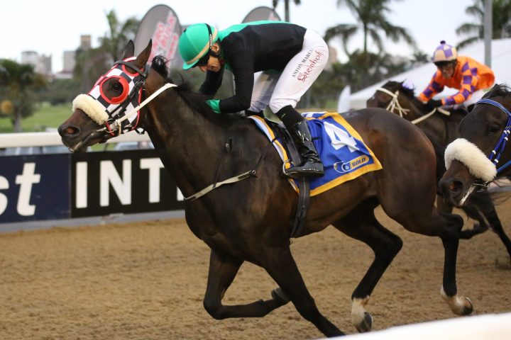 Oligarch (Candiese Marnewick)