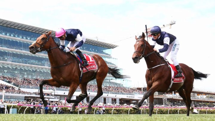 Rekindling-left (Racingpost.com)