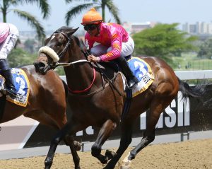 Sequel (Candiese Marnewick)