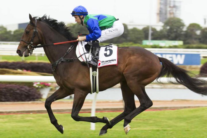 Tosen Stardom (Punters.com.au)