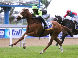 Burra Boy (Candiese Marnewick)