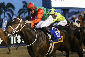 Di Mazzio (Candiese Marnewick)