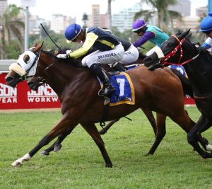 Diamente (Candiese Marnewick)