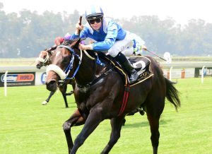 Alfolk (JC Photographics)