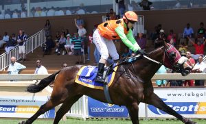 Drageda (Candiese Marnewick)