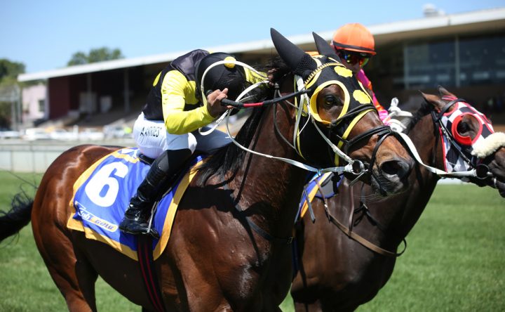Techno Captain (Candiese Marnewick)