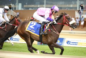 Awesomely Tuned (Candiese Marnewick)