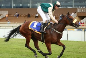 Cascada (Candiese Marnewick)